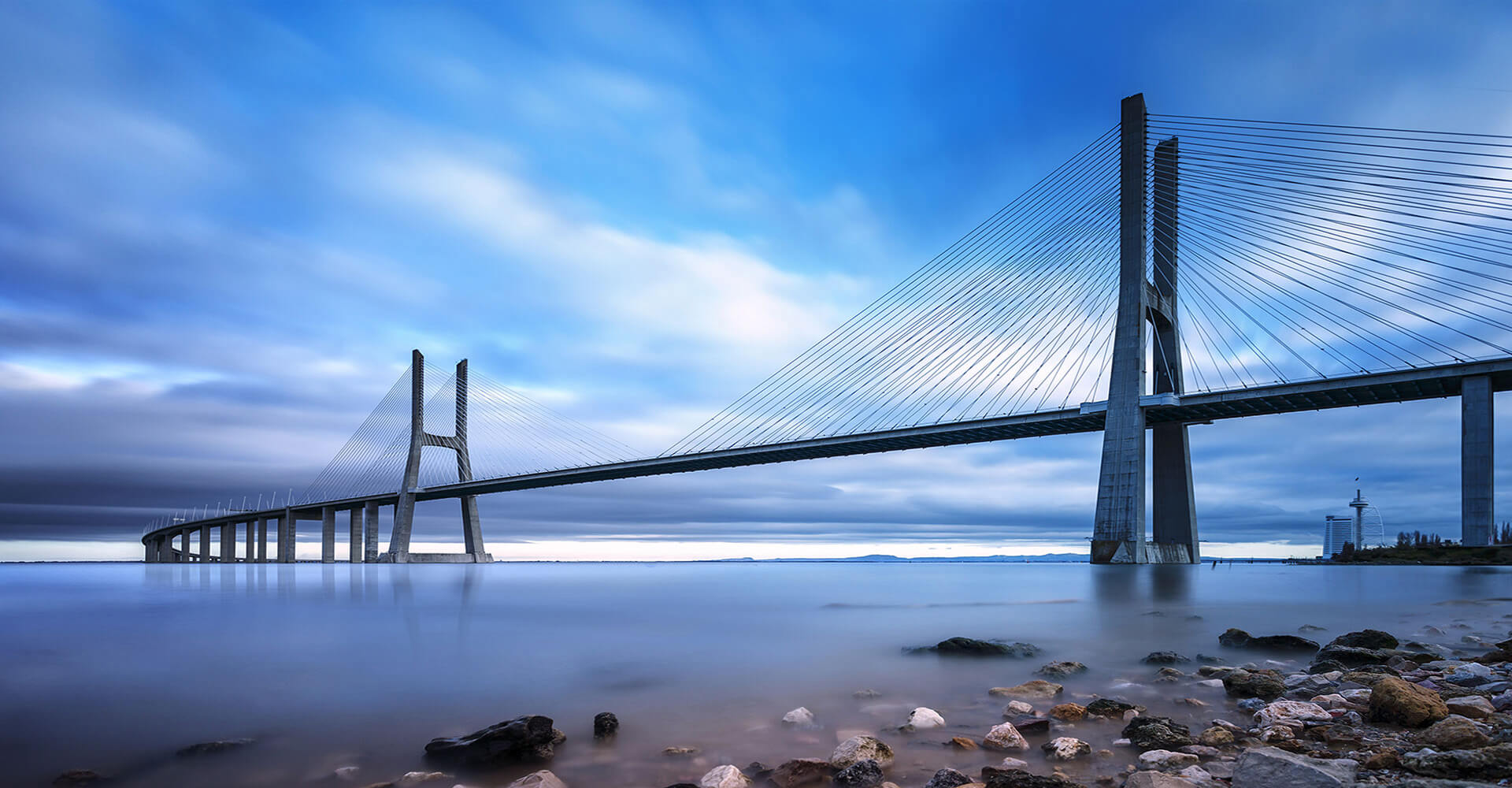 banner insentis Leistungen